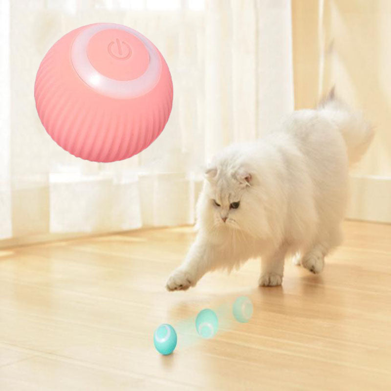 The Bark and Fetch Interactive Play Ball