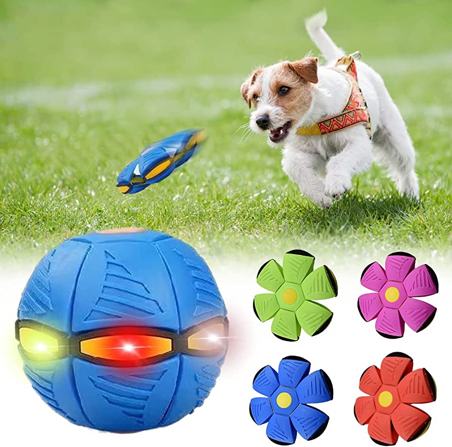 The Bark and Fetch Dog Frisbee