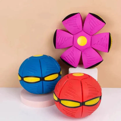 The Bark and Fetch Dog Frisbee