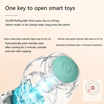 The Bark and Fetch Interactive Play Ball