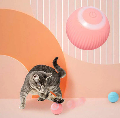 The Bark and Fetch Interactive Play Ball