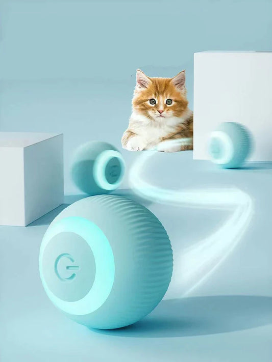 The Bark and Fetch Interactive Play Ball