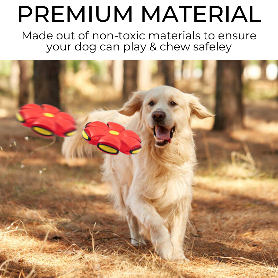 The Bark and Fetch Dog Frisbee