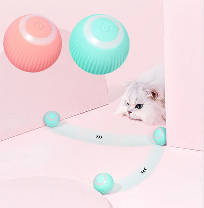 The Bark and Fetch Interactive Play Ball